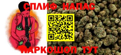 шишки Аргун