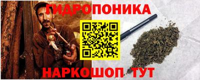 шишки Аргун