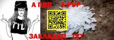 шишки Аргун