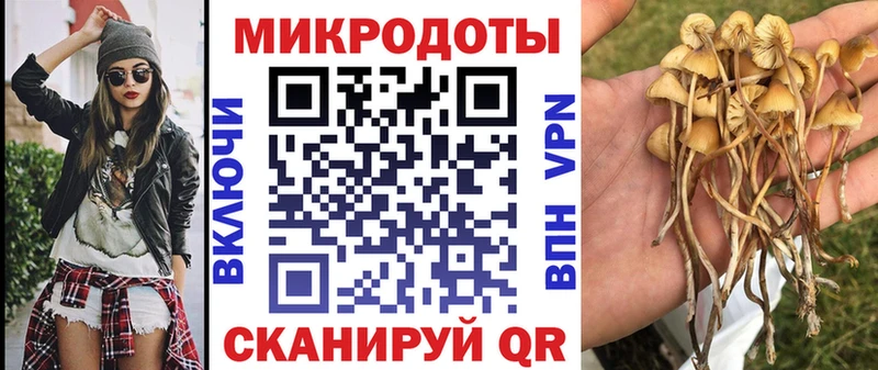 Галлюциногенные грибы GOLDEN TEACHER  shop наркотические препараты  Обнинск 