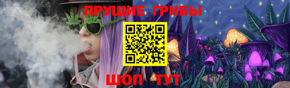 Обнинск  Псилоцибиновые грибы мицелий  наркота  Псилоцибиновые грибы Psilocybe  Вход с VPN 