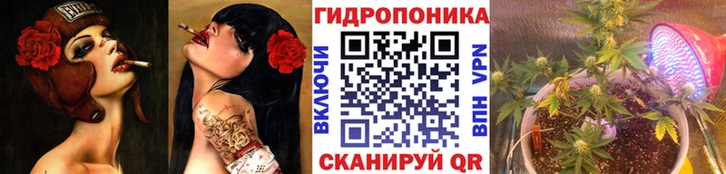 Канабис гибрид  Обнинск 