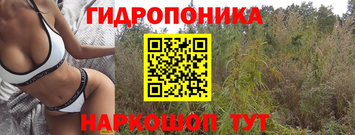 Конопля VHQ  Бошки Шишки тримм  Вход с VPN  Обнинск 